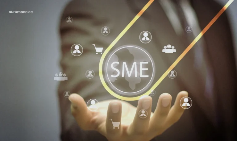 Why RAKEZ is a Top Choice for SMEs & Startups in 2026